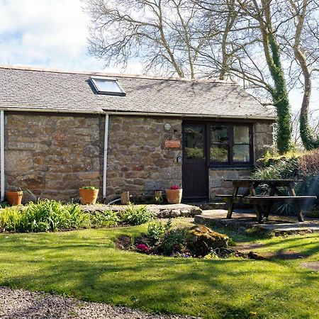 Cosy Cottage In The Beautiful Lamorna Valley - Walk To The Pub & Sea Paul Exteriér fotografie